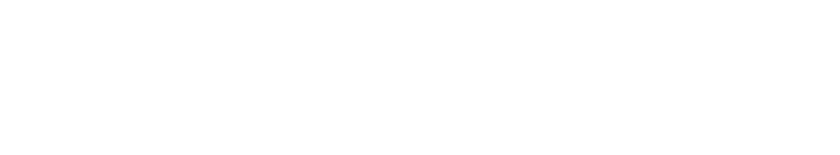 Revenue Discovery